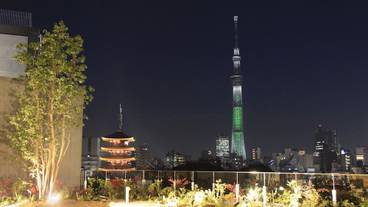 浅草寺とスカイツリー / 1