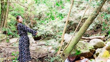 施設の敷地 / 12