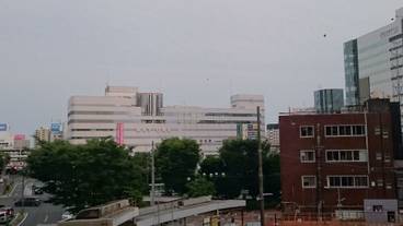 施設からの眺望 / 5