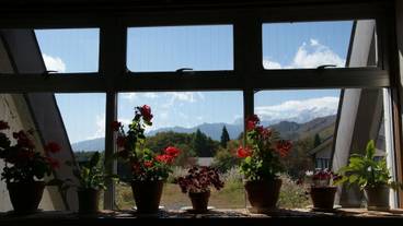 内部エントランス / 3