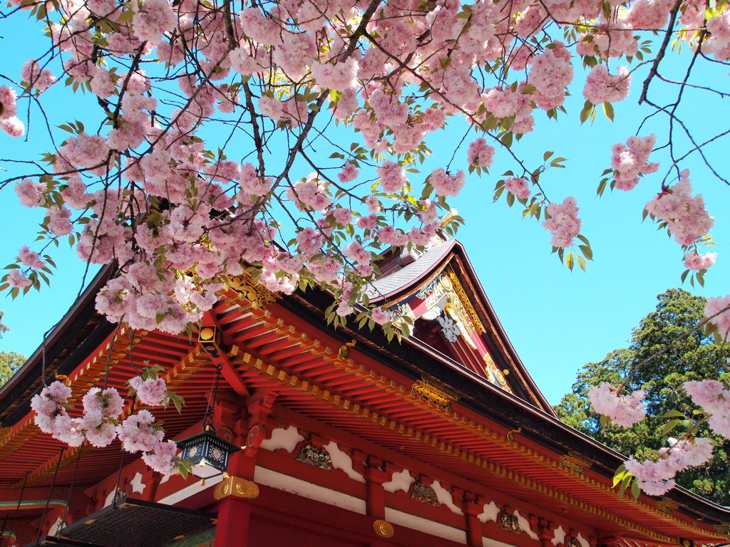 7.雅な雰囲気に包まれる「鹽竈神社」3944579
