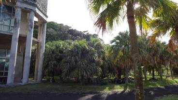 施設の敷地 / 23