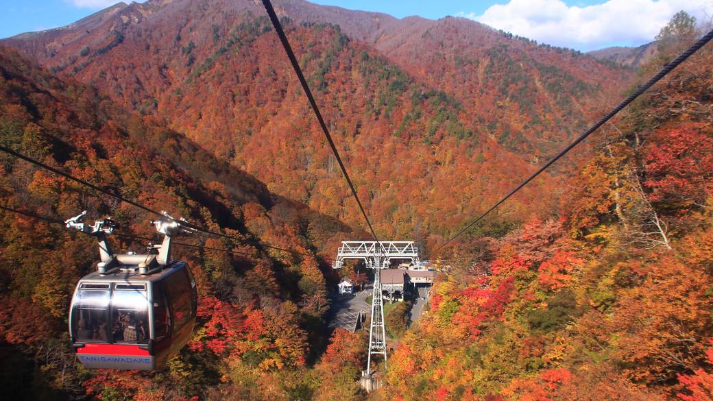 谷川岳ロープウェイ(秋) / 2