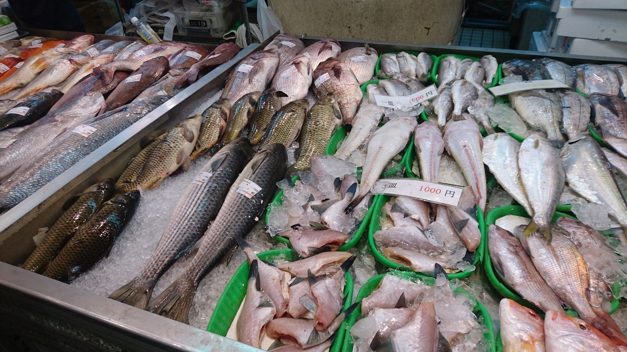 魚介類1018897