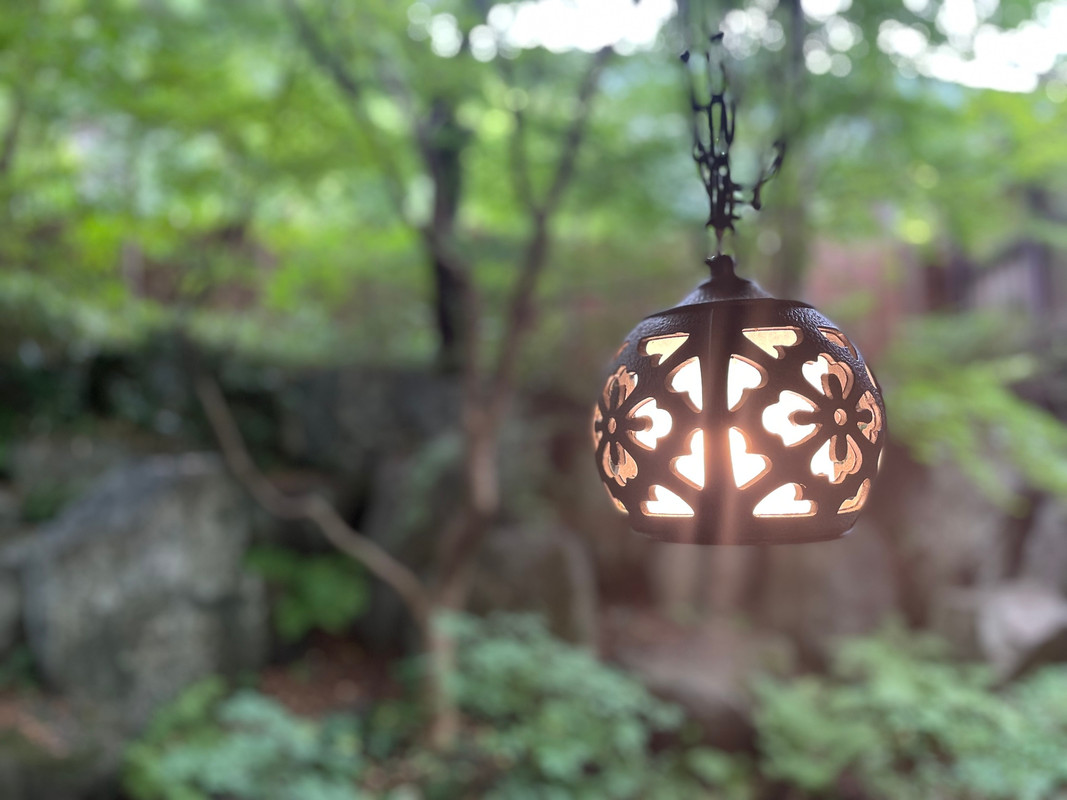 maygram_0301さんの写真 / 7