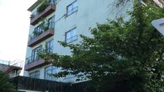 伊東温泉 音無の森 緑風園