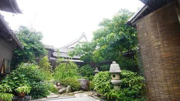 メイン イメージ / 1