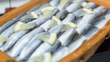 朝食ビュッフェ / 14