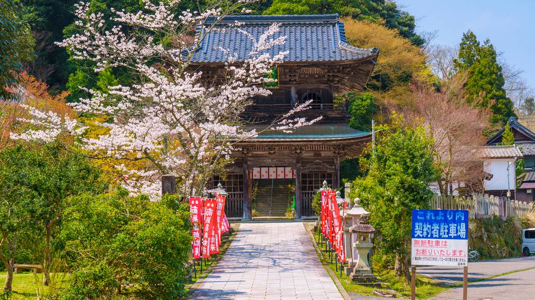 温泉寺　山門 / 4