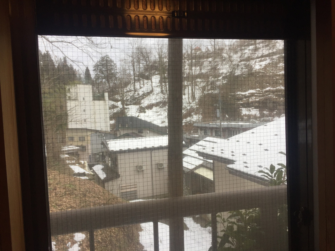 豪雪地帯なのに雪が無し！