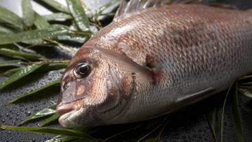 食事・飲み物 / 1