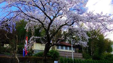 施設の敷地 / 16