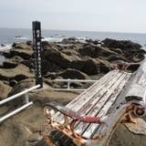 野島崎（ノジマザキ）