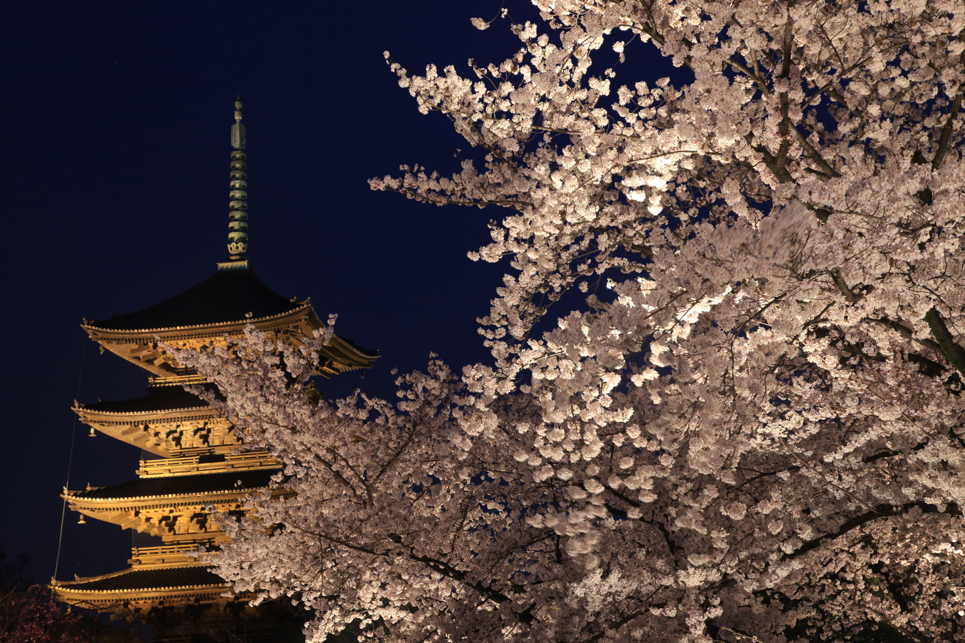 この春は、特別な桜を満喫する京都旅へ2034868