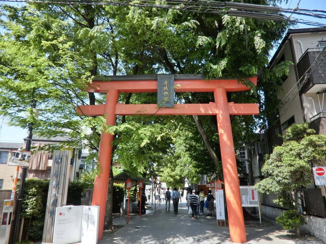 「あかぎカフェ」その他 811363 <'16/05/05撮影>新緑で快晴の赤木神社の風景です
