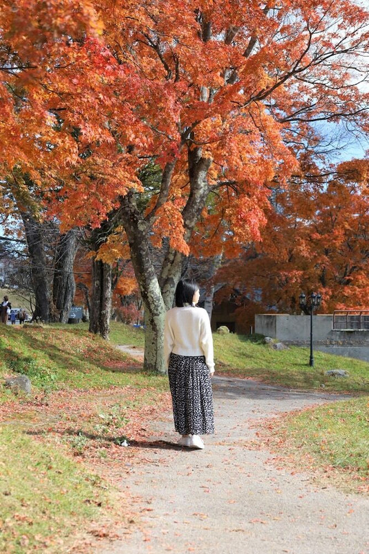 ハイキング