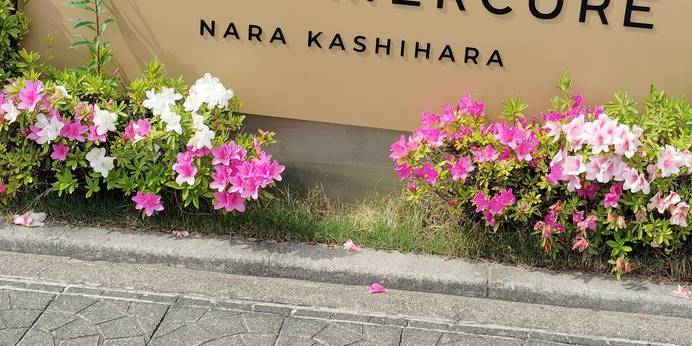 グランドメルキュール奈良橿原（奈良県 シティホテル） / 1