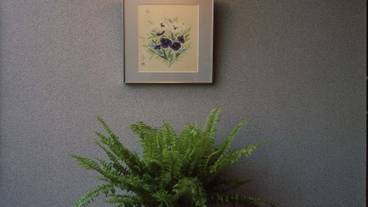 施設内の設備 / 2