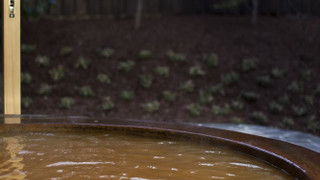 スイートルームやよい 禁煙 (0-11歳のお子様はディナー別料金 アラカルトからご注文可)