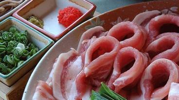 食事・飲み物 / 31