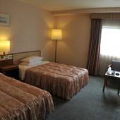 ホテル津センターパレス(三重県 ビジネスホテル) / 3