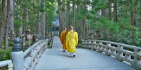1人旅で気軽に泊まれる高野山の宿坊7選。心身を整えリフレッシュしよう／和歌山