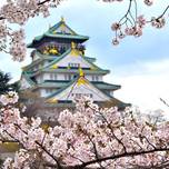お城と桜の最強コンビ！風情を感じる全国お花見スポット18選