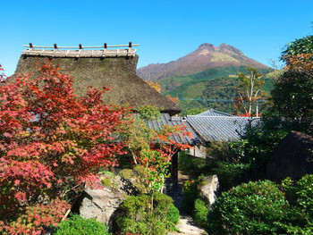 まるで田舎で暮らすようなのんびりステイを満喫しよう3431317