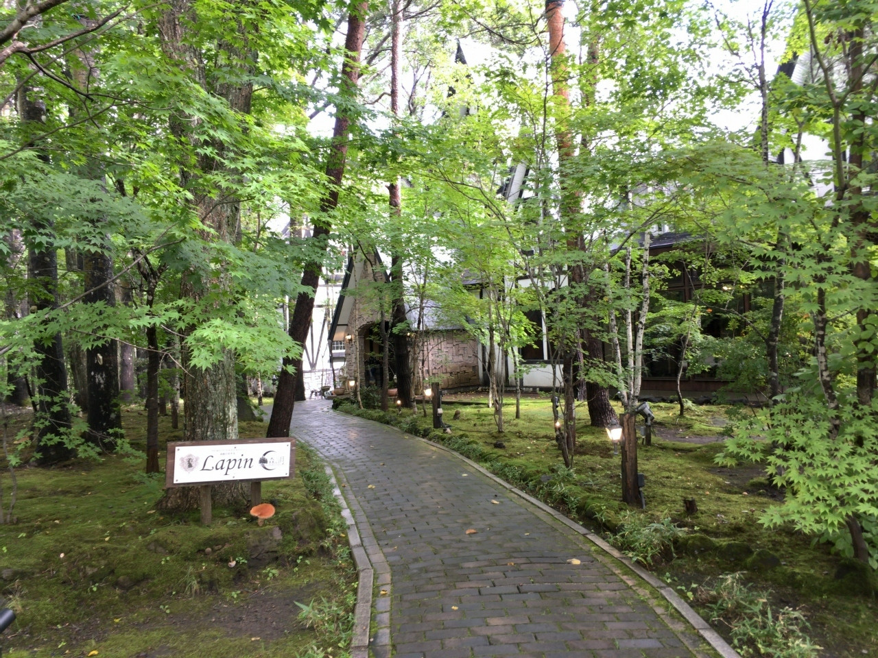 メルヘンチックな世界にほっこり3637686