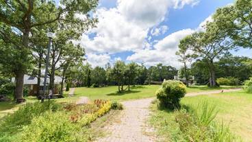 施設の敷地 / 12