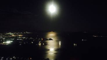 施設からの眺望 / 13