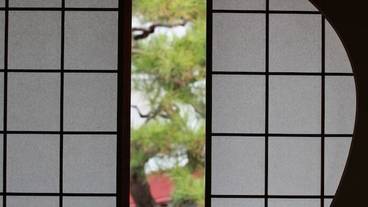 内装の詳細 / 25