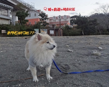 「カーロ・フォレスタ 城ヶ島遊ヶ崎BASE」 その他 165435320 海目の前のワン宿▽..▽