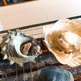 まるはま（マルハマ）