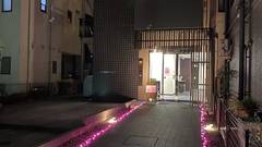 HOTEL WAKO Tokyo Tree View