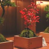 あわづ温泉 喜多八（石川県 旅館） / 2