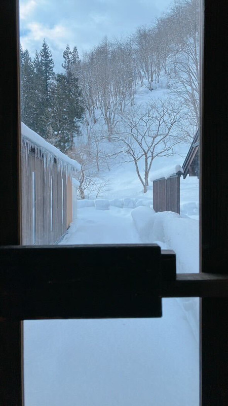 miz0205xxさんの写真 / 9
