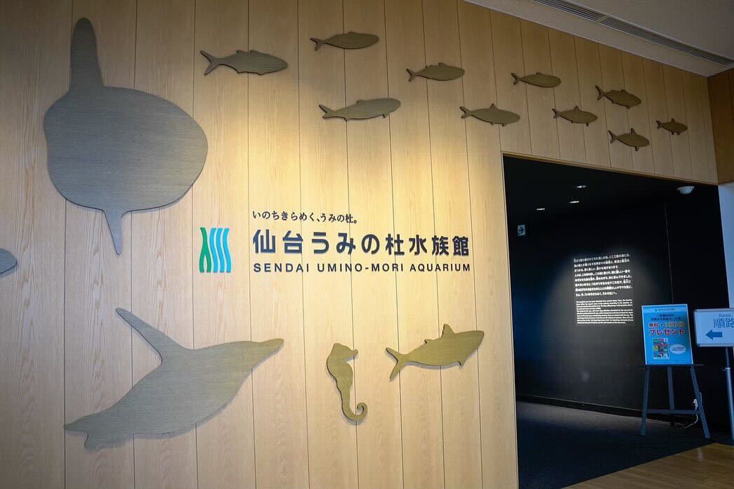 panda_rihoさんの写真 / 3