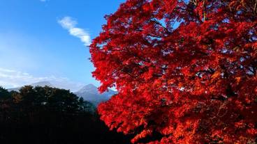 観光スポット / 7