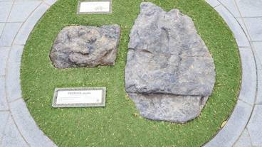 シティ ビュー / 23