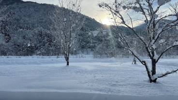 部屋からの景観 / 25