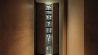 ジュニア スイート