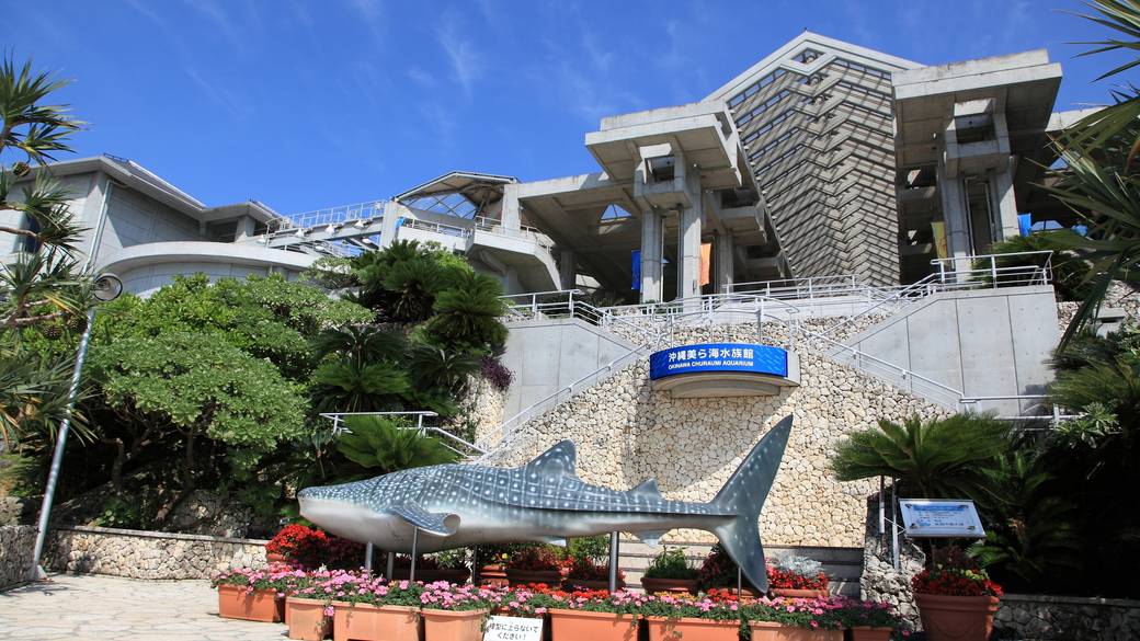 美ら海(ちゅらうみ)水族館 / 4