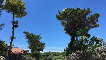 ストリート ビュー / 27