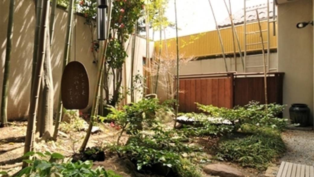 菊風呂から見える坪庭 / 2