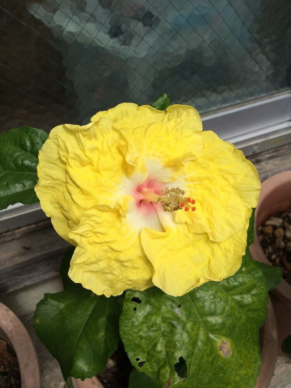 施設からの眺望