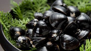 食事・飲み物 / 20