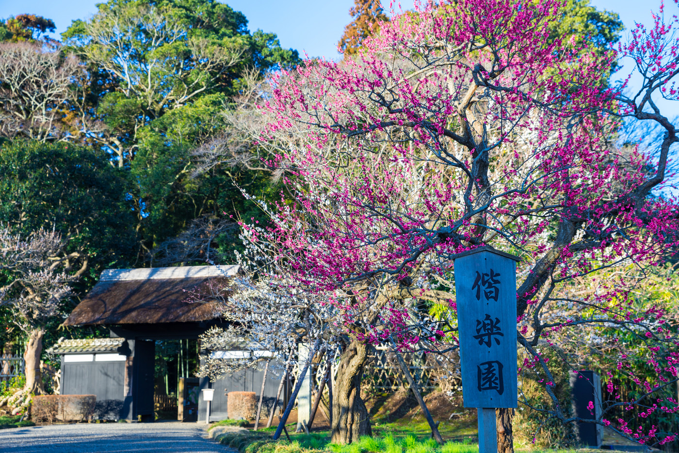 偕楽園 正門 好文亭表門入り口 （茨城県水戸市） ※2019年3月撮影