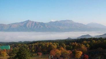 マウンテン ビュー / 24