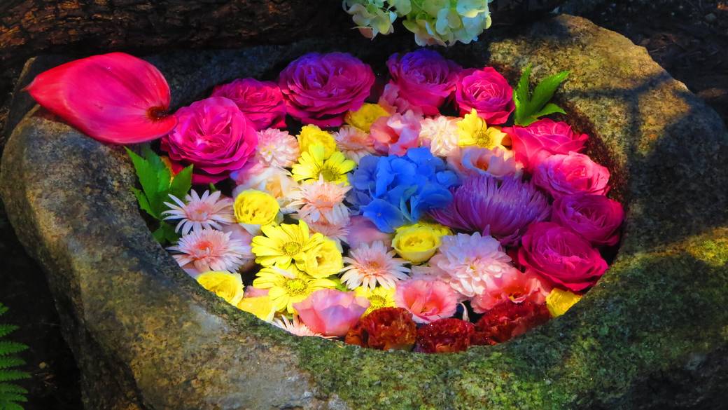 週替りのつくばい装飾 / 1